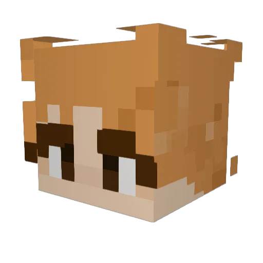 ItsFSJ Minecraft avatar head, 3D render