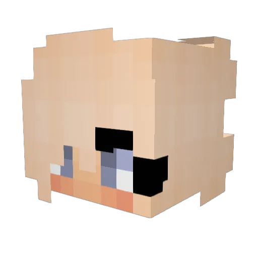 ItsFall17 Minecraft avatar head, 3D render