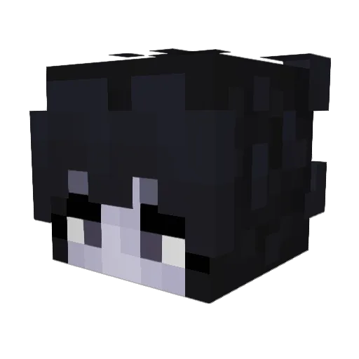 ItsFernandito Minecraft avatar head, 3D render