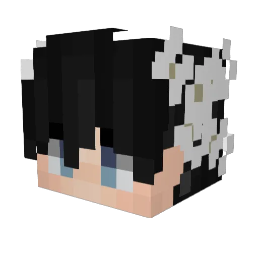 ItsFrancraftYT Minecraft avatar head, 3D render