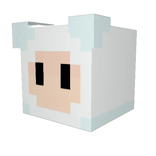 ItsFynn35 Minecraft avatar head, 3D render