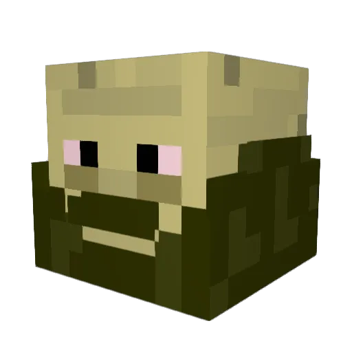 ItsHarrison Minecraft avatar head, 3D render