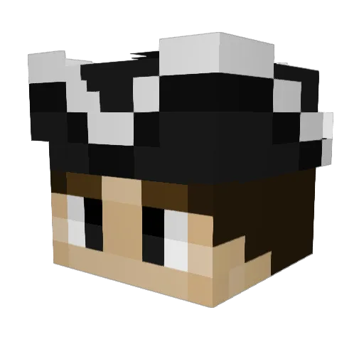 ItsHarry123 Minecraft avatar head, 3D render