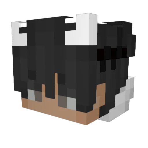ItsHqcker_ Minecraft avatar head, 3D render