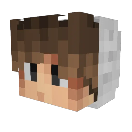 ItsInfinityMax_ Minecraft avatar head, 3D render