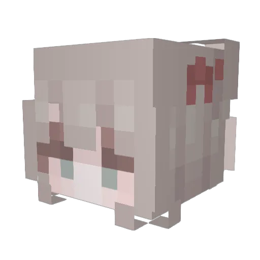 ItsJadenslife Minecraft avatar head, 3D render