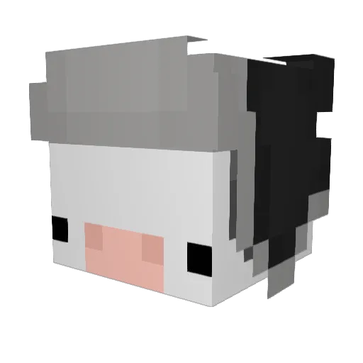 ItsJonnyC Minecraft avatar head, 3D render