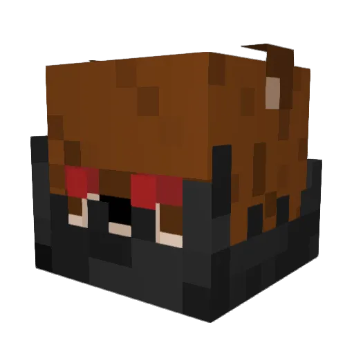 Minecraft-Avatar von ItsJustBeary: Kopf als 3D-Render