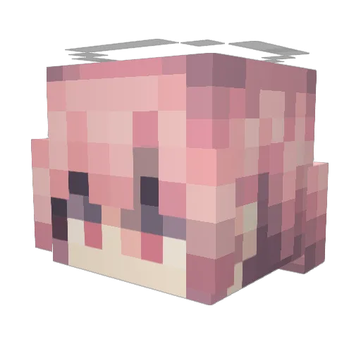 ItsJustDoggo Minecraft avatar head, 3D render