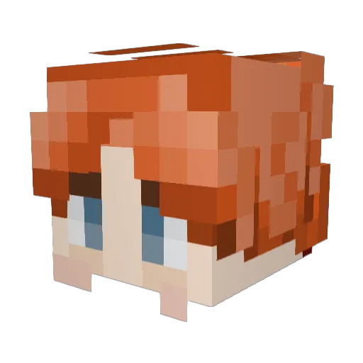 ItsJustXander13 Minecraft avatar head, 3D render