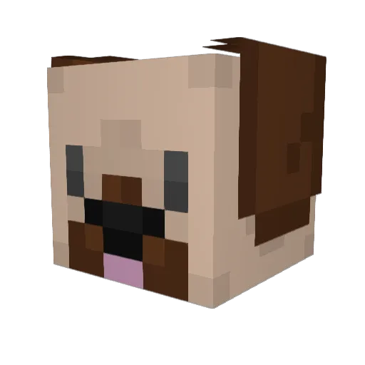 ItsJustXander Minecraft avatar head, 3D render