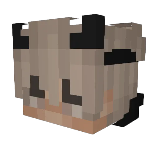 ItsLifeStyler Minecraft avatar head, 3D render