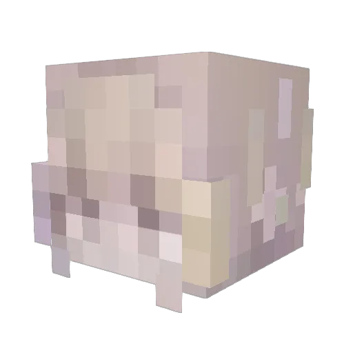 ItsLunii Minecraft avatar head, 3D render
