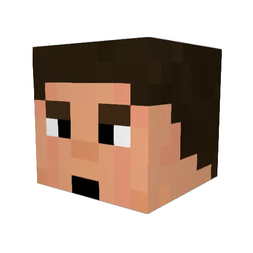 ItsMeMagni Minecraft avatar head, 3D render