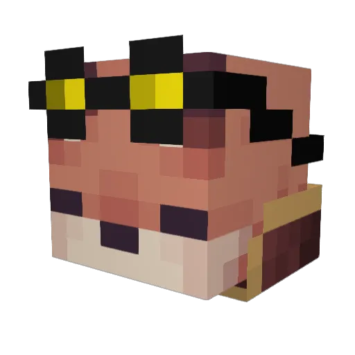 ItsMeRic Minecraft avatar head, 3D render