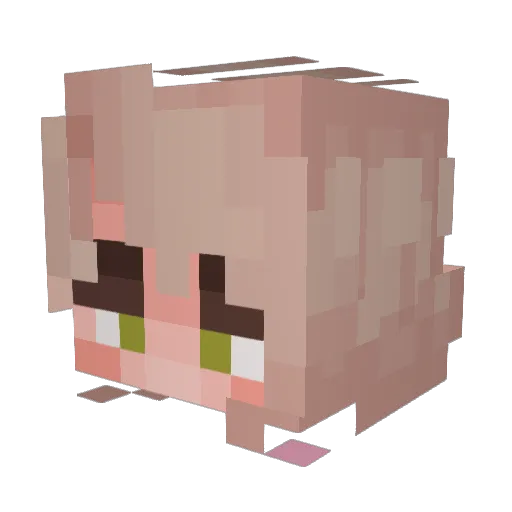 ItsMeSunny Minecraft avatar head, 3D render