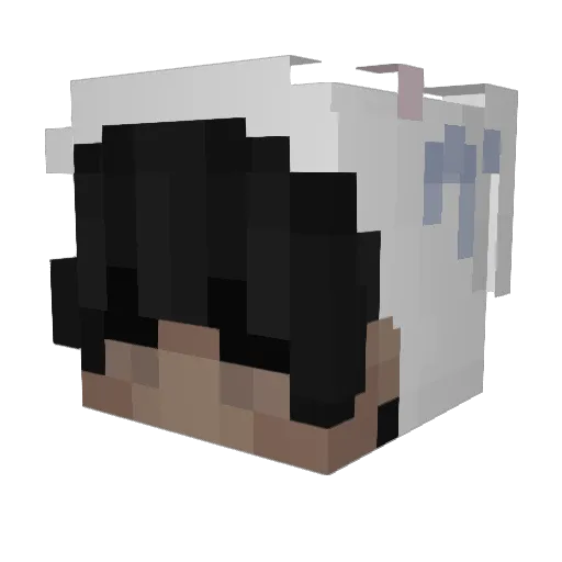 ItsMe_Ty Minecraft avatar head, 3D render