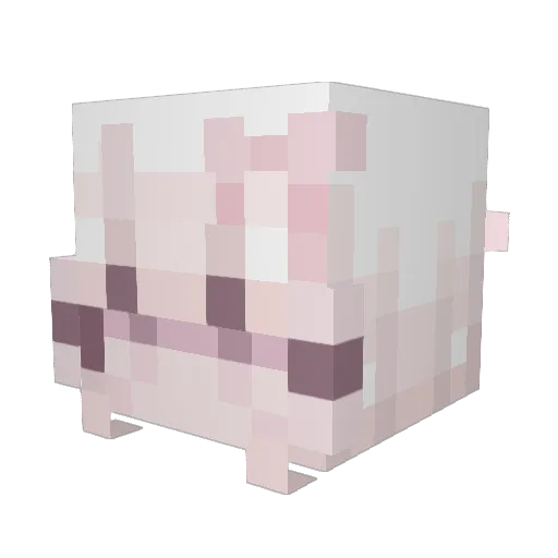 ItsMidnightRain Minecraft avatar head, 3D render