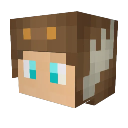 ItsMoosecraft81 Minecraft avatar head, 3D render