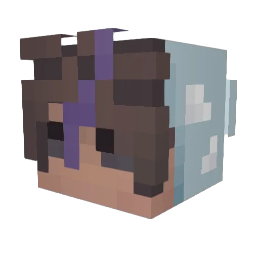 ItsNasKii Minecraft avatar head, 3D render