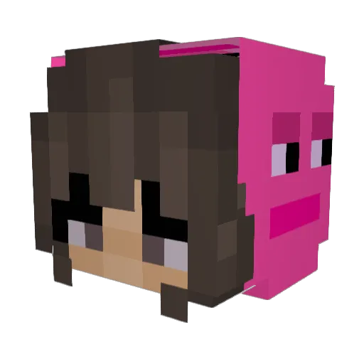 ItsNetflix_ Minecraft avatar head, 3D render
