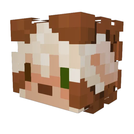 ItsNiffyyy Minecraft avatar head, 3D render