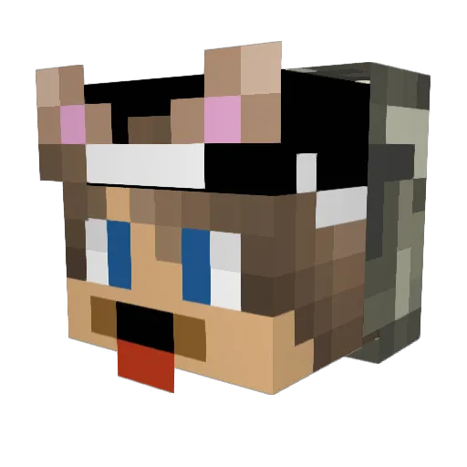 ItsNixxx Minecraft avatar head, 3D render