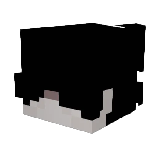 ItsNixy Minecraft avatar head, 3D render