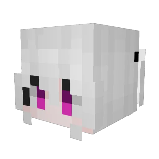 ItsNotAcu Minecraft avatar head, 3D render