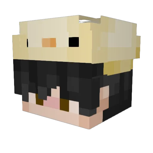 ItsNotDucky Minecraft avatar head, 3D render