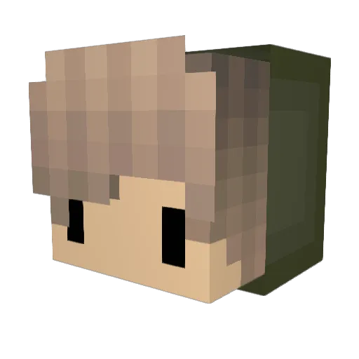 ItsNotMyName Minecraft avatar head, 3D render