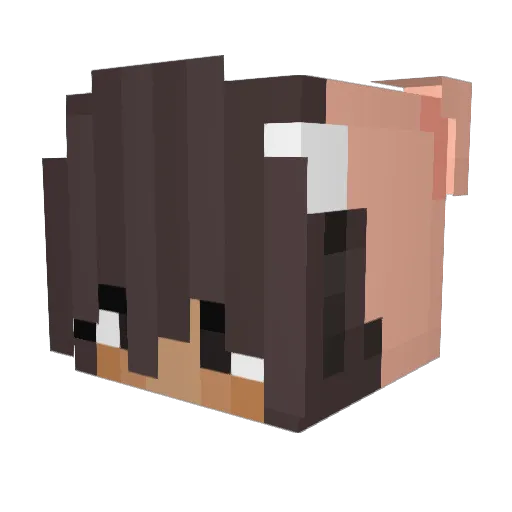 ItsNulpe Minecraft avatar head, 3D render