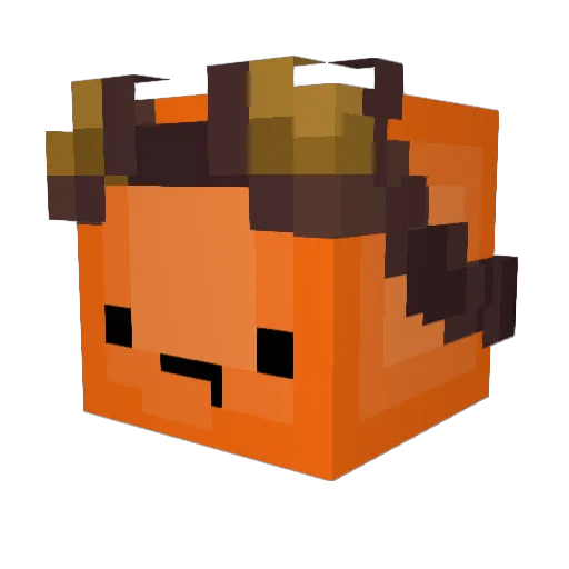 ItsOnlyOrange Minecraft avatar head, 3D render
