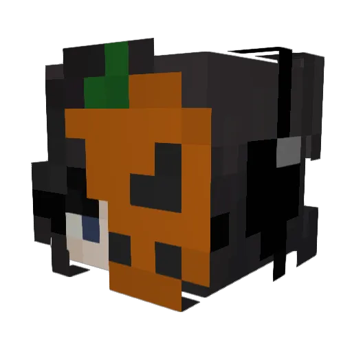 ItsPaully Minecraft avatar head, 3D render