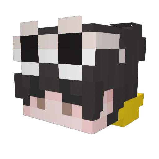 ItsProbablyWill Minecraft avatar head, 3D render
