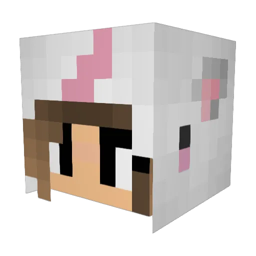 ItsRara Minecraft avatar head, 3D render