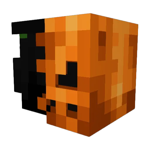 Minecraft-Avatar von ItsRealFoxTV: Kopf als 3D-Render