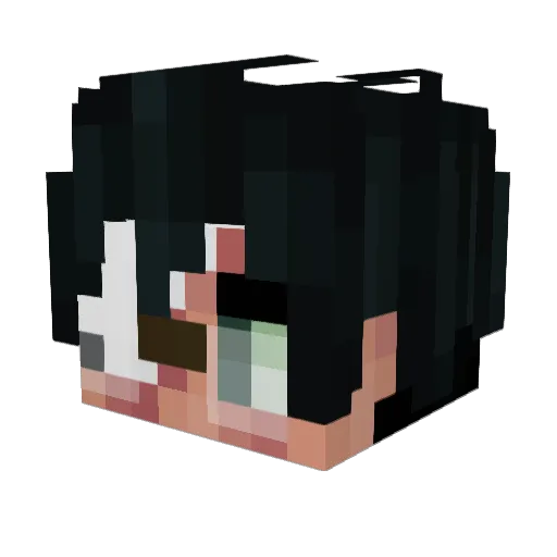 ItsReallyCarlos Minecraft avatar head, 3D render