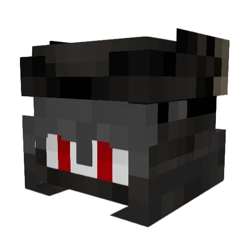 ItsRequiem Minecraft avatar head, 3D render