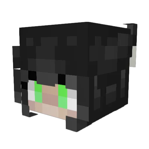 ItsRhily Minecraft avatar head, 3D render