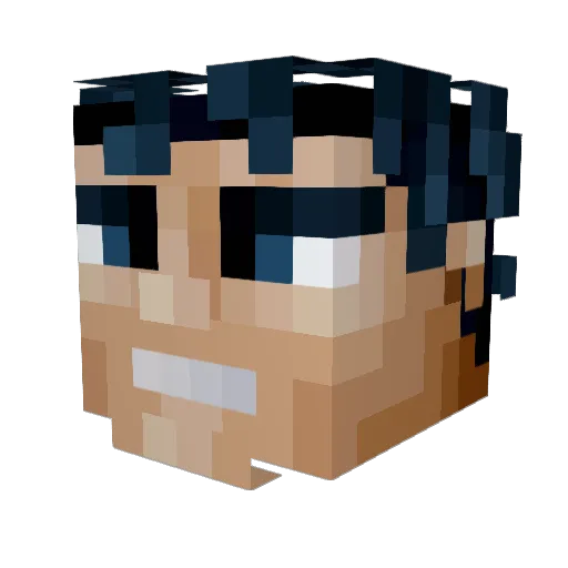 ItsRiley_ Minecraft avatar head, 3D render