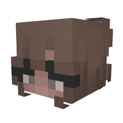 ItsRivax Minecraft avatar head, 3D render