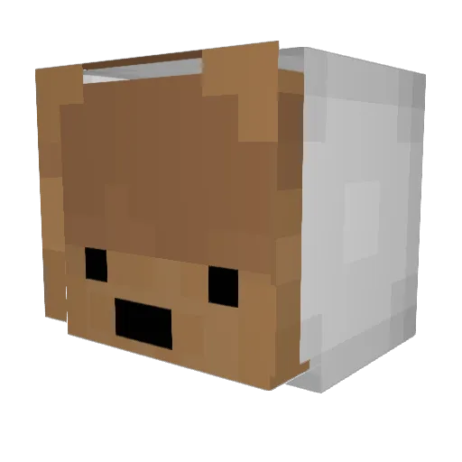 Minecraft-Avatar von ItsSimmm: Kopf als 3D-Render