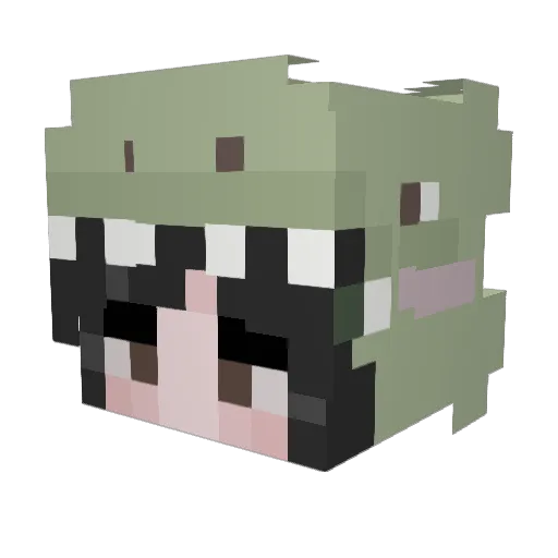 ItsSophia7666 Minecraft avatar head, 3D render