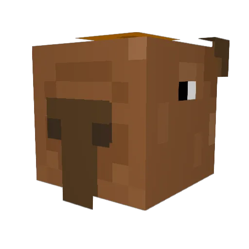 ItsTensei_ Minecraft avatar head, 3D render