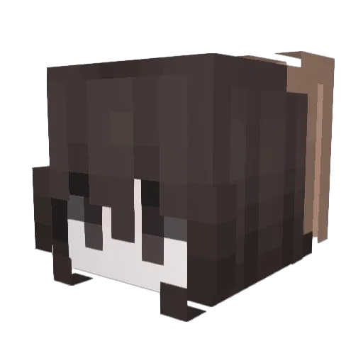 ItsTezly Minecraft avatar head, 3D render