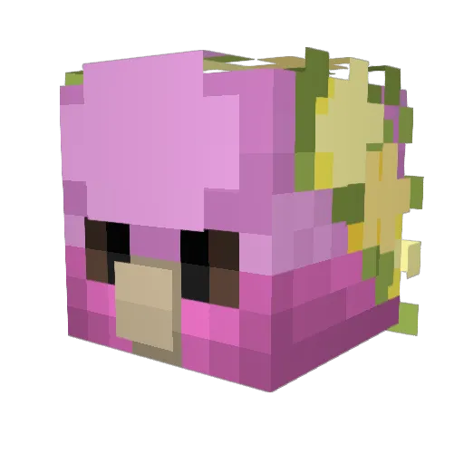 ItsTheAstro Minecraft avatar head, 3D render