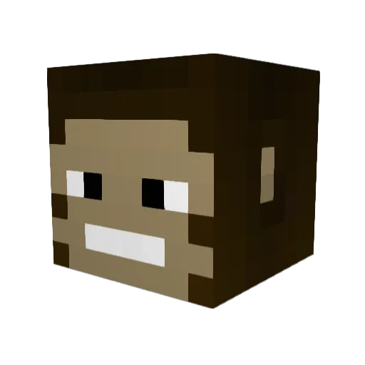 ItsTheDingo Minecraft avatar head, 3D render
