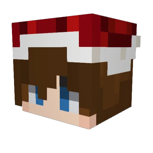 ItsTimZB Minecraft avatar head, 3D render