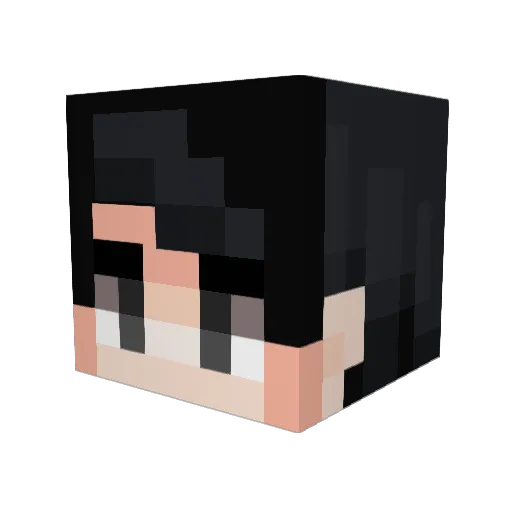ItsTotallyTyler Minecraft avatar head, 3D render